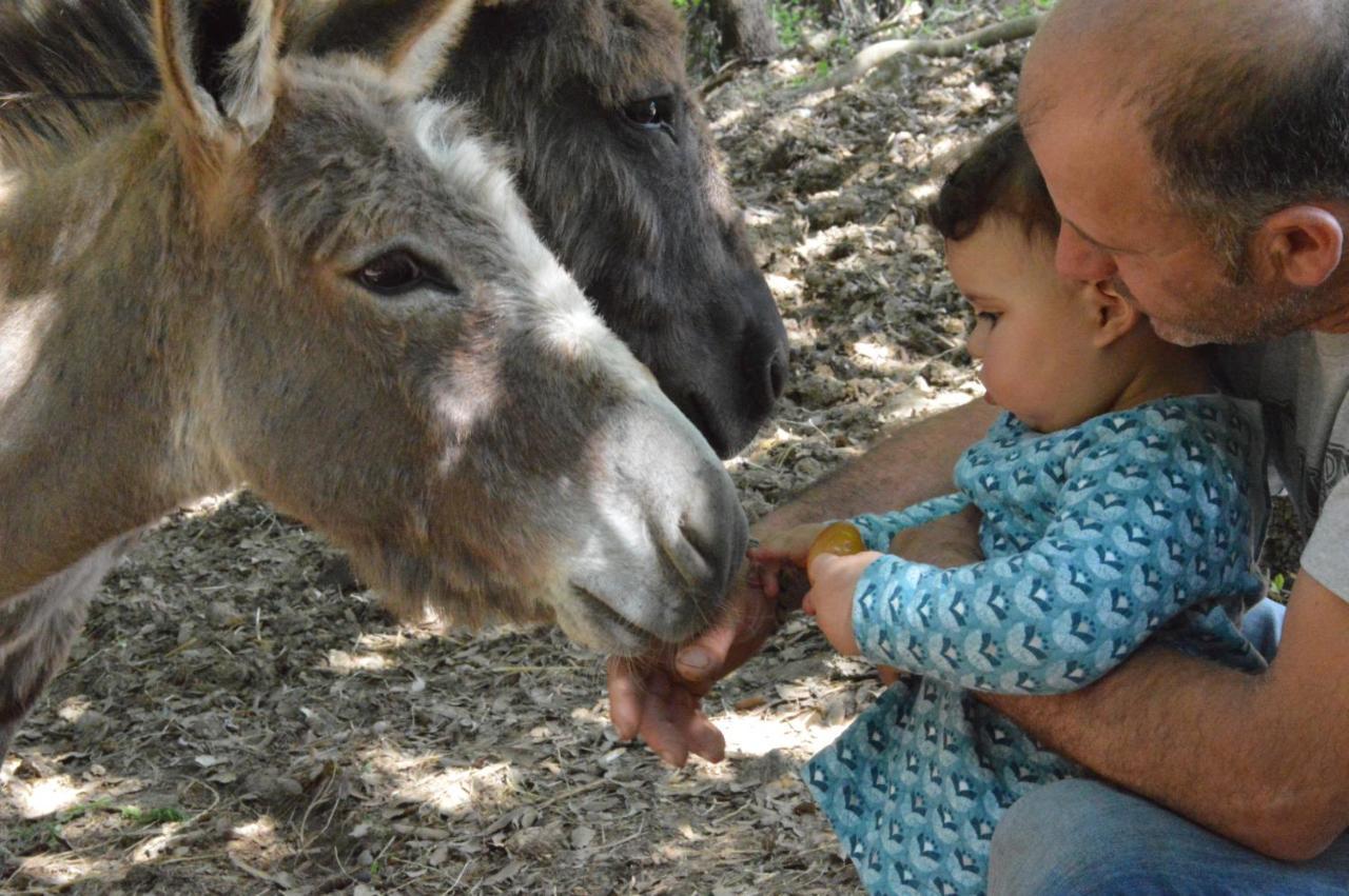 فيلا Bellavista Seggiano المظهر الخارجي الصورة