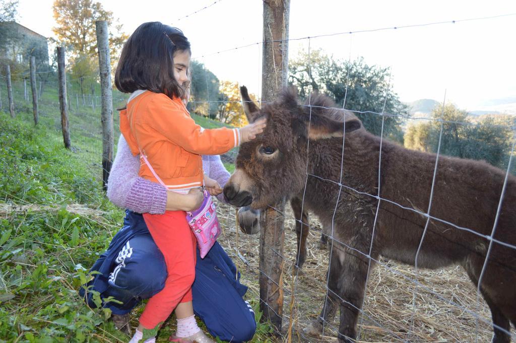 فيلا Bellavista Seggiano المظهر الخارجي الصورة
