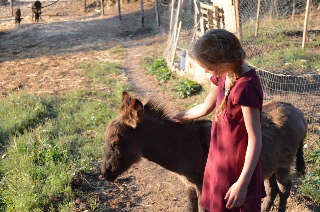 فيلا Bellavista Seggiano المظهر الخارجي الصورة